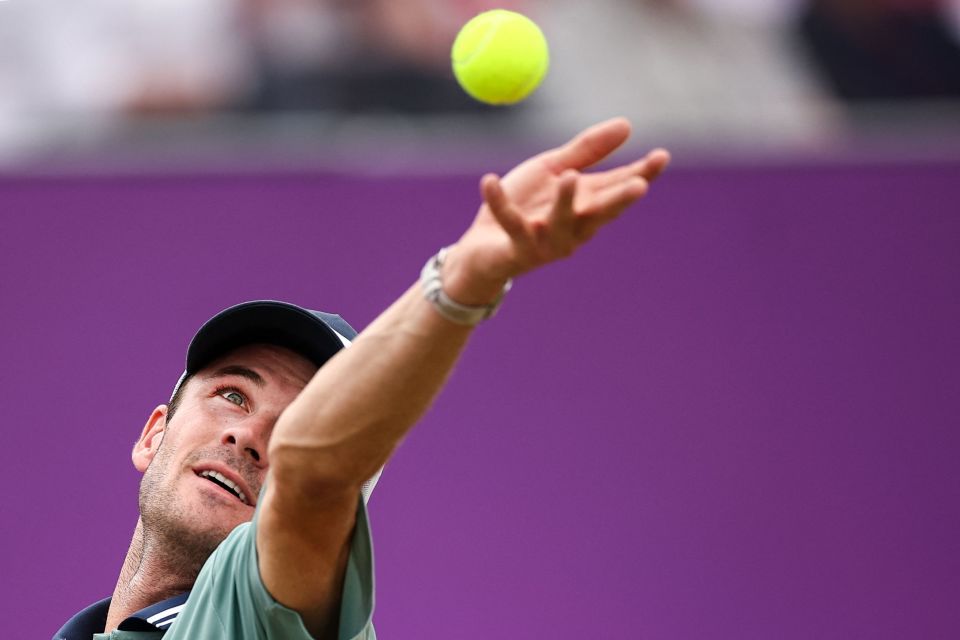 中取分提供 中取分提供